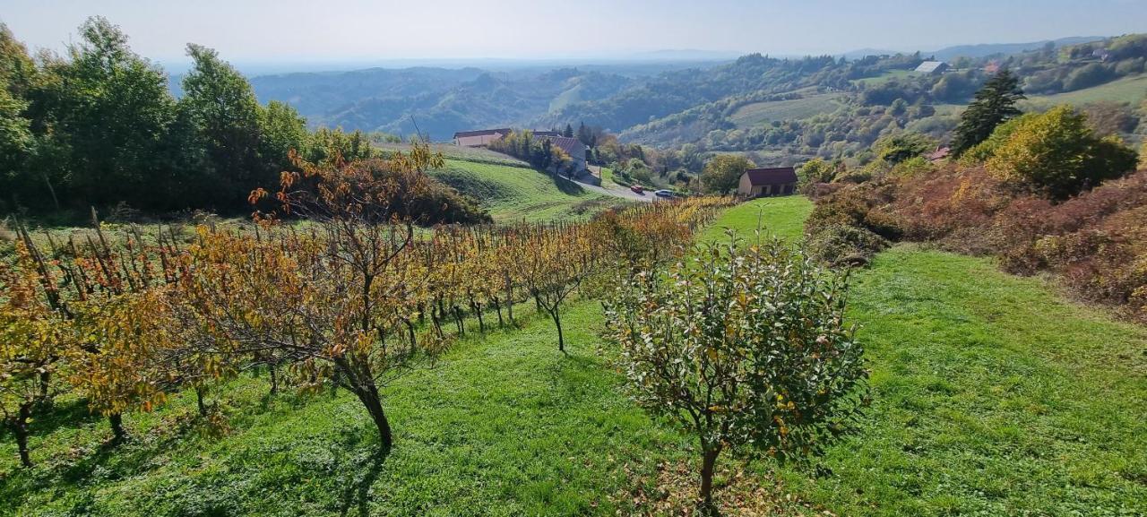 Wine Panorama House Jastrebarsko Exterior foto